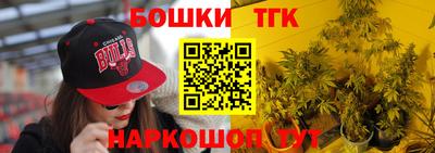 крисы Гагарин