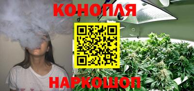 крисы Гагарин