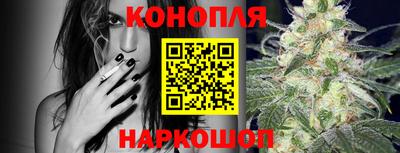 крисы Гагарин