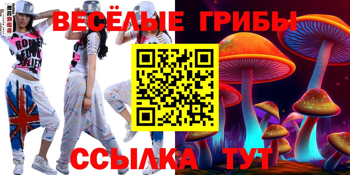 Псилоцибиновые грибы Psilocybe  Будённовск  Псилоцибиновые грибы MAGIC MUSHROOMS 